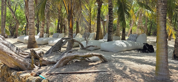 A beach setting with white cushioned seating and a large tree trunk in the foreground.