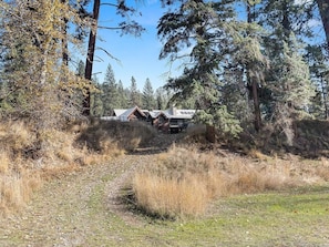A cabin with a metal roof, surrounded by tall trees and dry grass. - Ninemile Creek Cabin: Fish in back yard, Hot Tub (Huson)