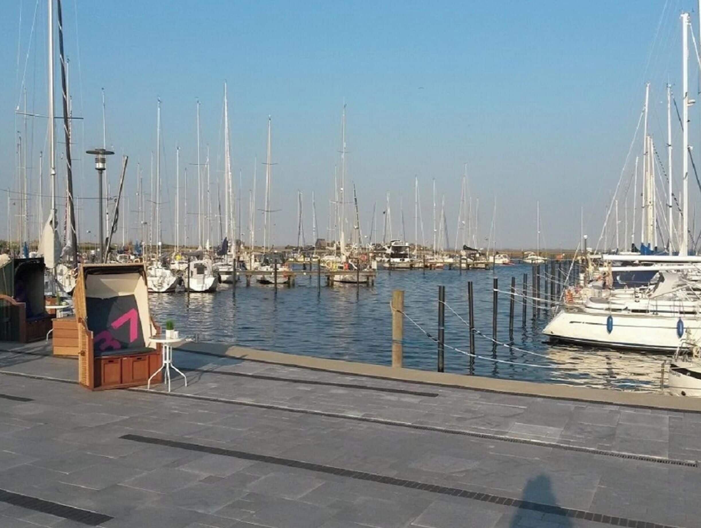 Ein Yachthafen mit mehreren Segelbooten, einem kleinen Kiosk und einem wolkenlosen Himmel.