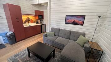 A compact living space with a kitchenette, a gray sofa, a small table, and a framed picture on the wall.