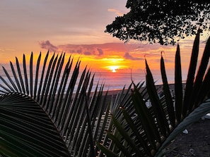 A sunset view with palm leaves in the foreground. - Tropical Paradise w/ 2 Sapacious Cabinas AC & Pool (Playa Herradura)