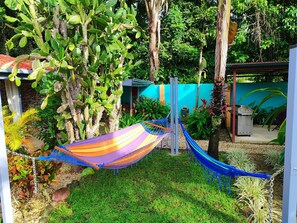 A hammock in a garden with various plants and trees.