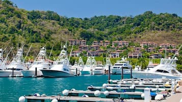 Los Sueños Marina Down the road