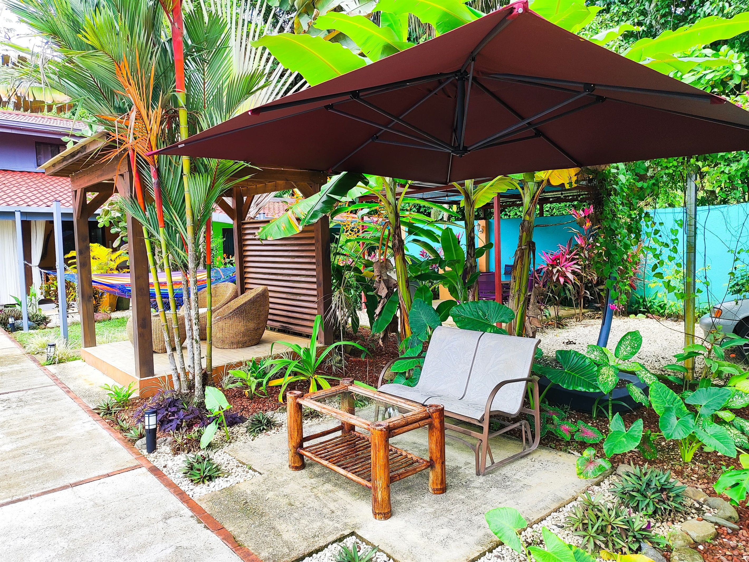 A garden with a wooden bench, a large umbrella, and various tropical plants.