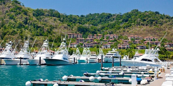 Los Sueños Marina
