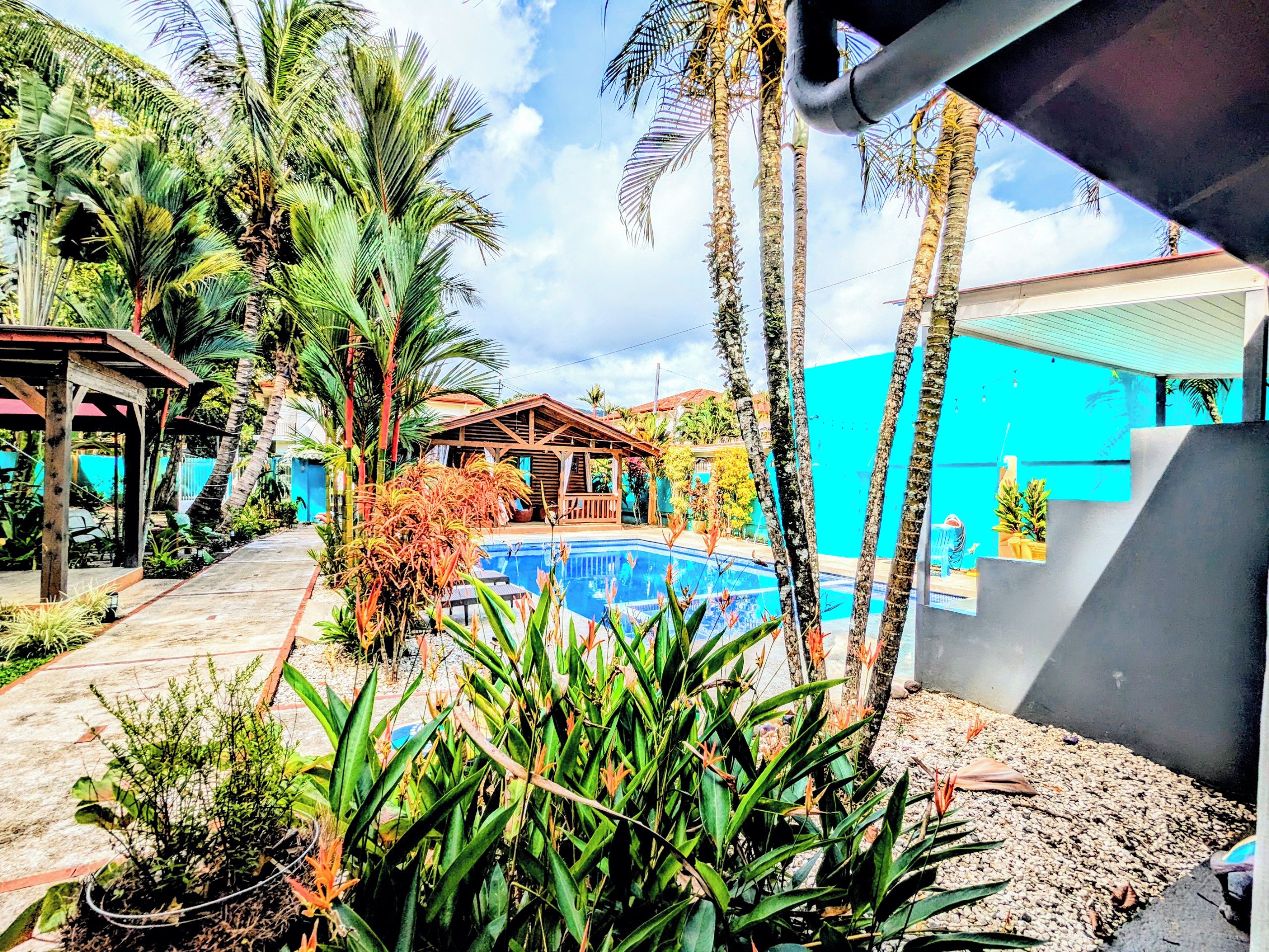 Zona de piscina con palmeras, una estructura de madera y una pared azul.