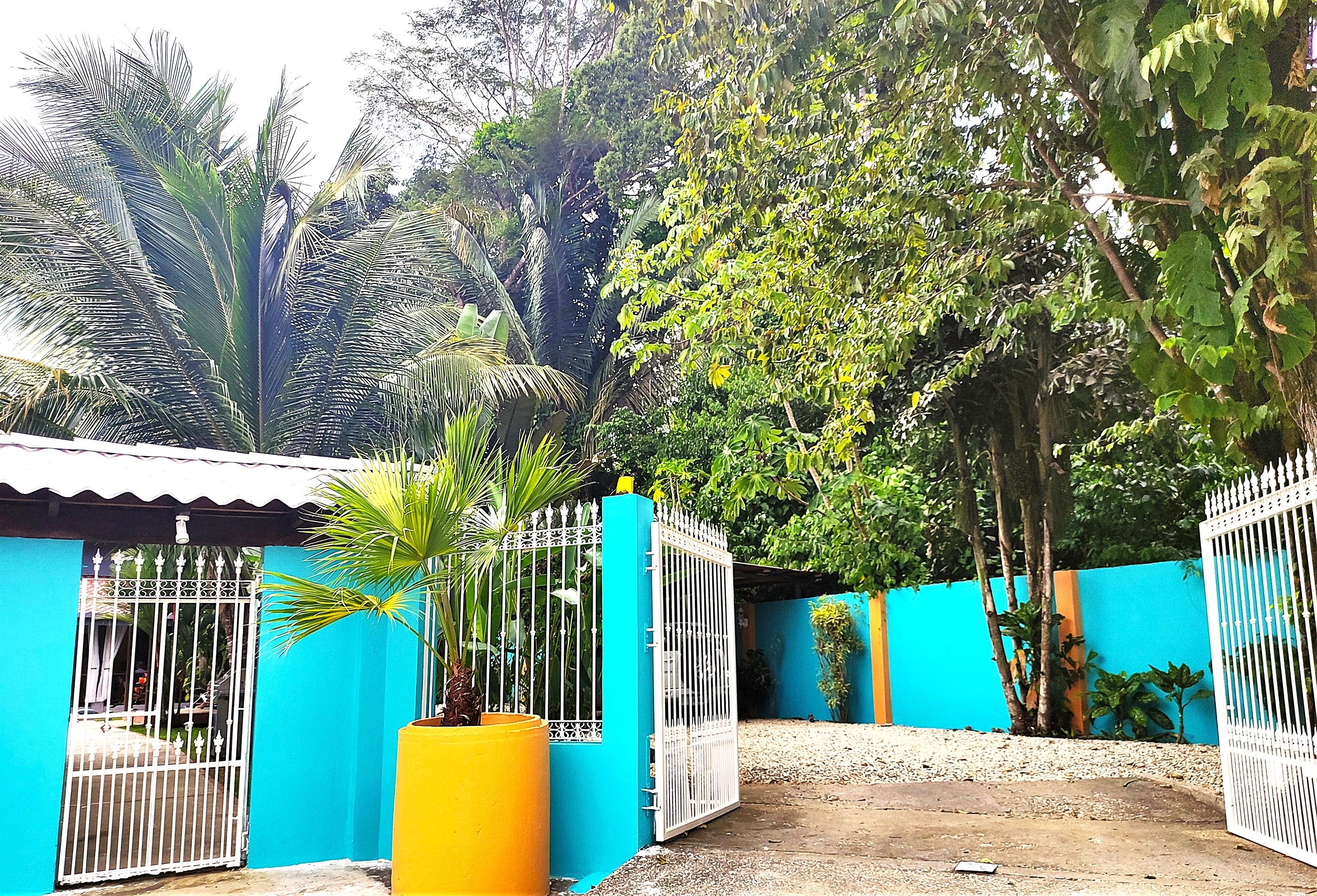 Una entrada cerrada con un muro azul y una maceta amarilla.