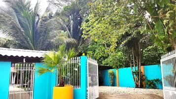 Una entrada cerrada con un muro azul y una maceta amarilla.