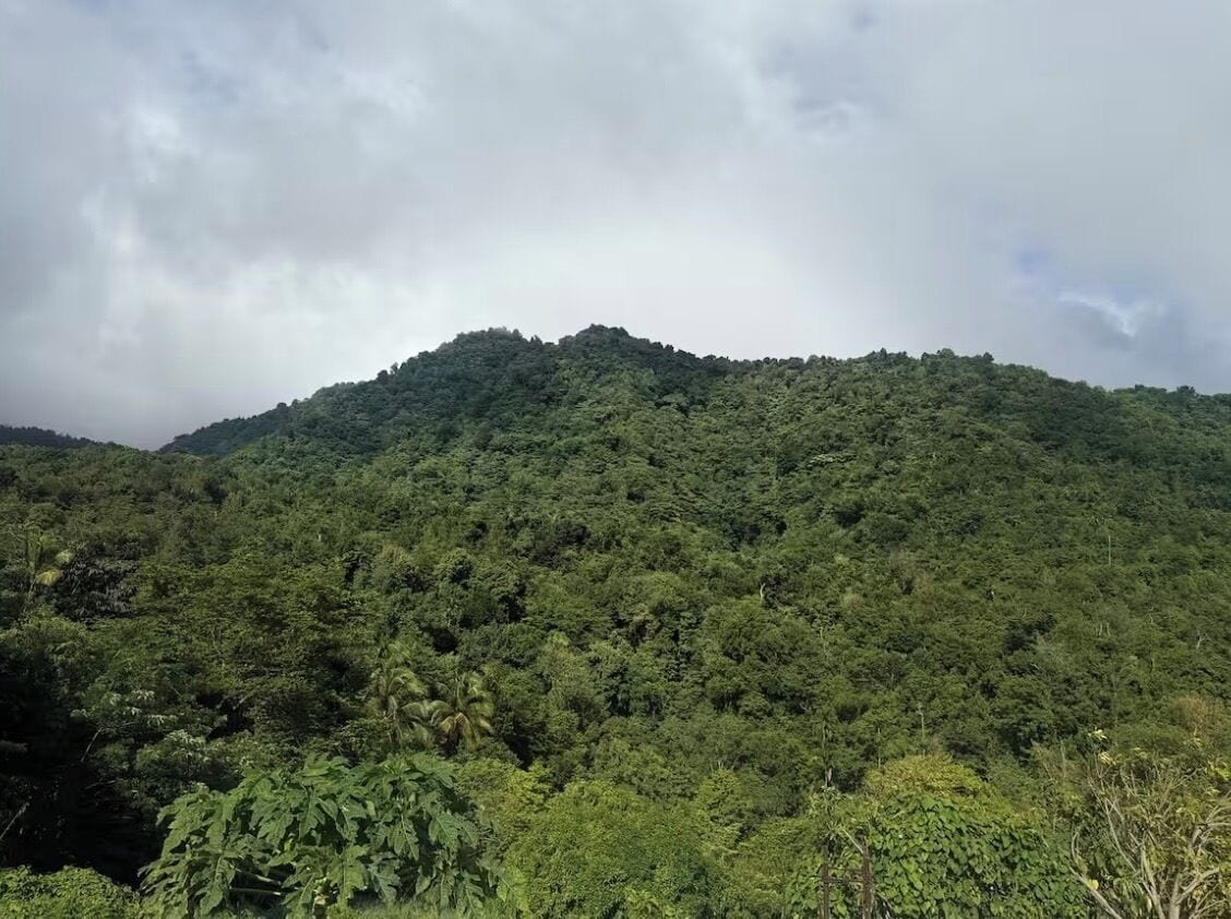 Montanha arborizada e densa sob um céu nublado.