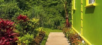 Tropikal Synergy Mountain View