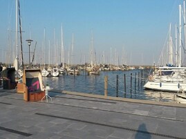 A marina with multiple sailboats docked, a small kiosk, and a clear sky.
