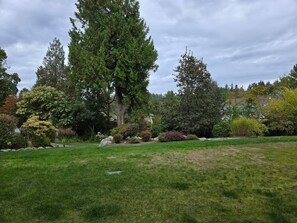 Un prato curato con diversi alberi e arbusti, cielo sereno e un vialetto in pietra che si snoda nel giardino.