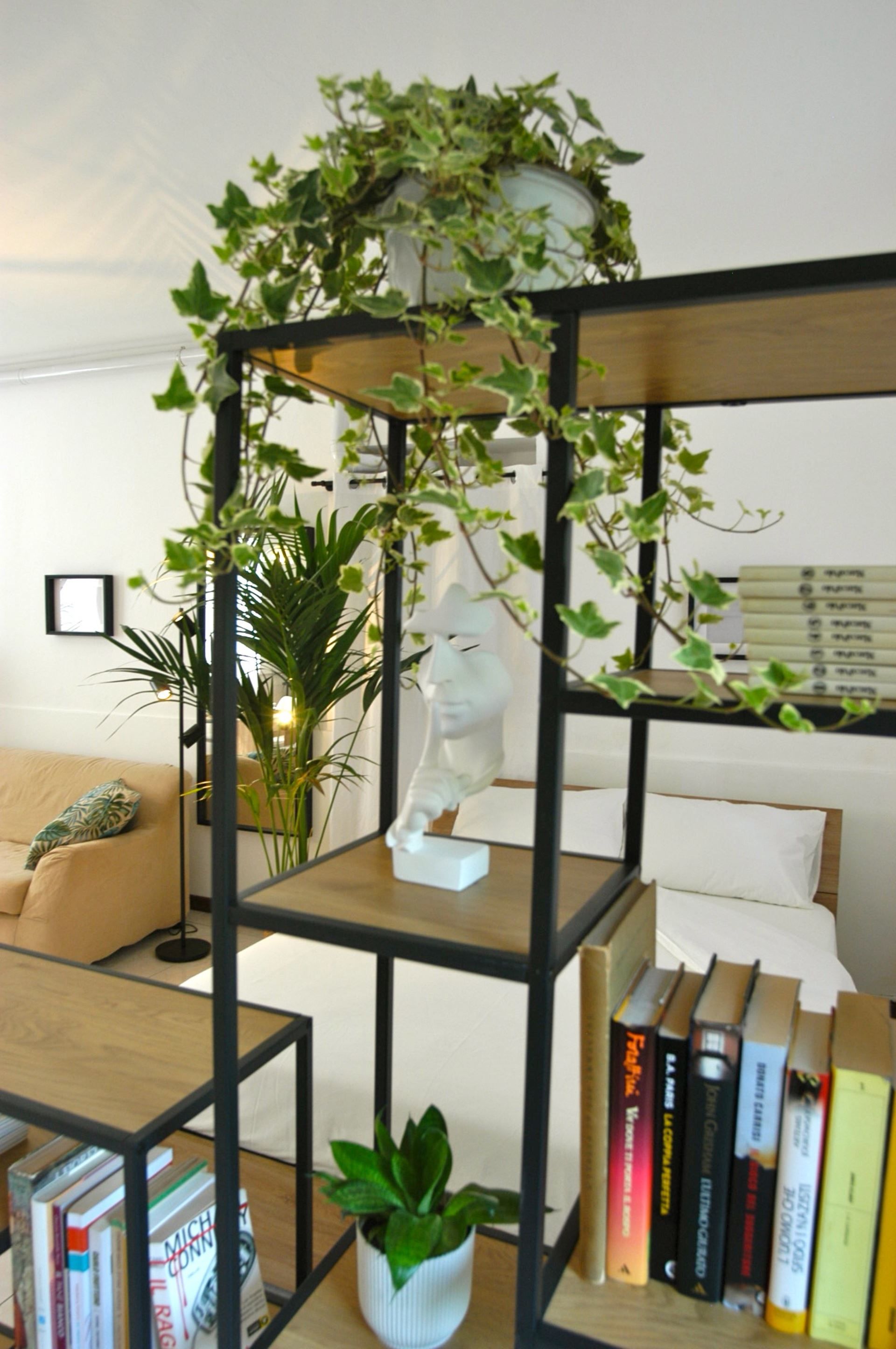 Un salon avec une bibliothèque, un canapé et une plante en pot.