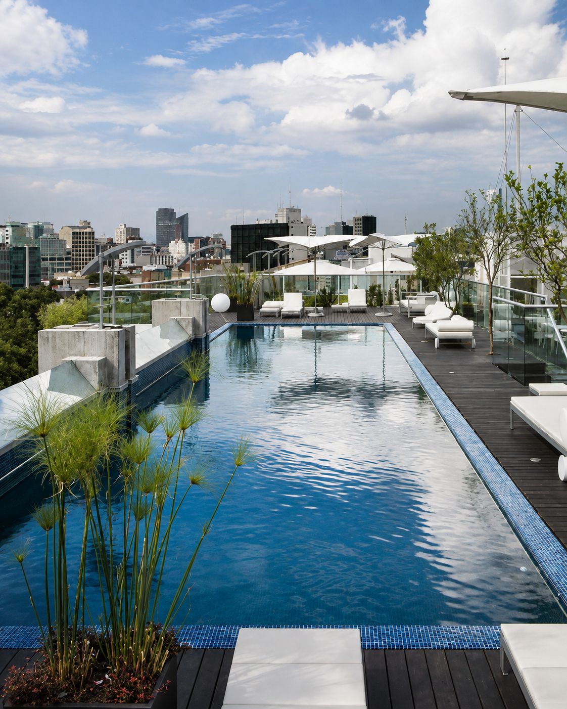 A rooftop infinity pool with lounge chairs and potted plants, overlooking a cityscape.