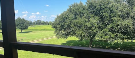 Vista desde una ventana con barandilla metálica, sobre un campo cubierto de césped con árboles y un cielo azul despejado.