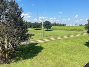 Ein grasbewachsenes Feld mit einem Feldweg, Bäumen und einem Strommast.