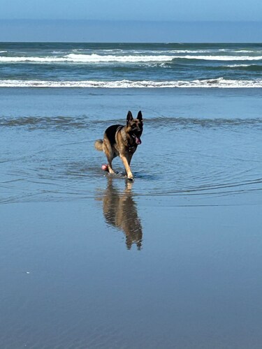 Carpenters' Cove -- 3BR Beach Getaway,  3 Minute Walk to the Ocean & Prom