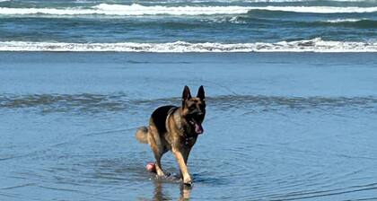 Carpenters' Cove -- 3BR Beach Getaway, 3 Minute Walk to the Ocean & Prom