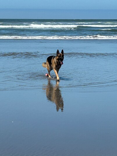 Carpenters' Cove -- 3BR Beach Getaway, 3 Minute Walk to the Ocean & Prom