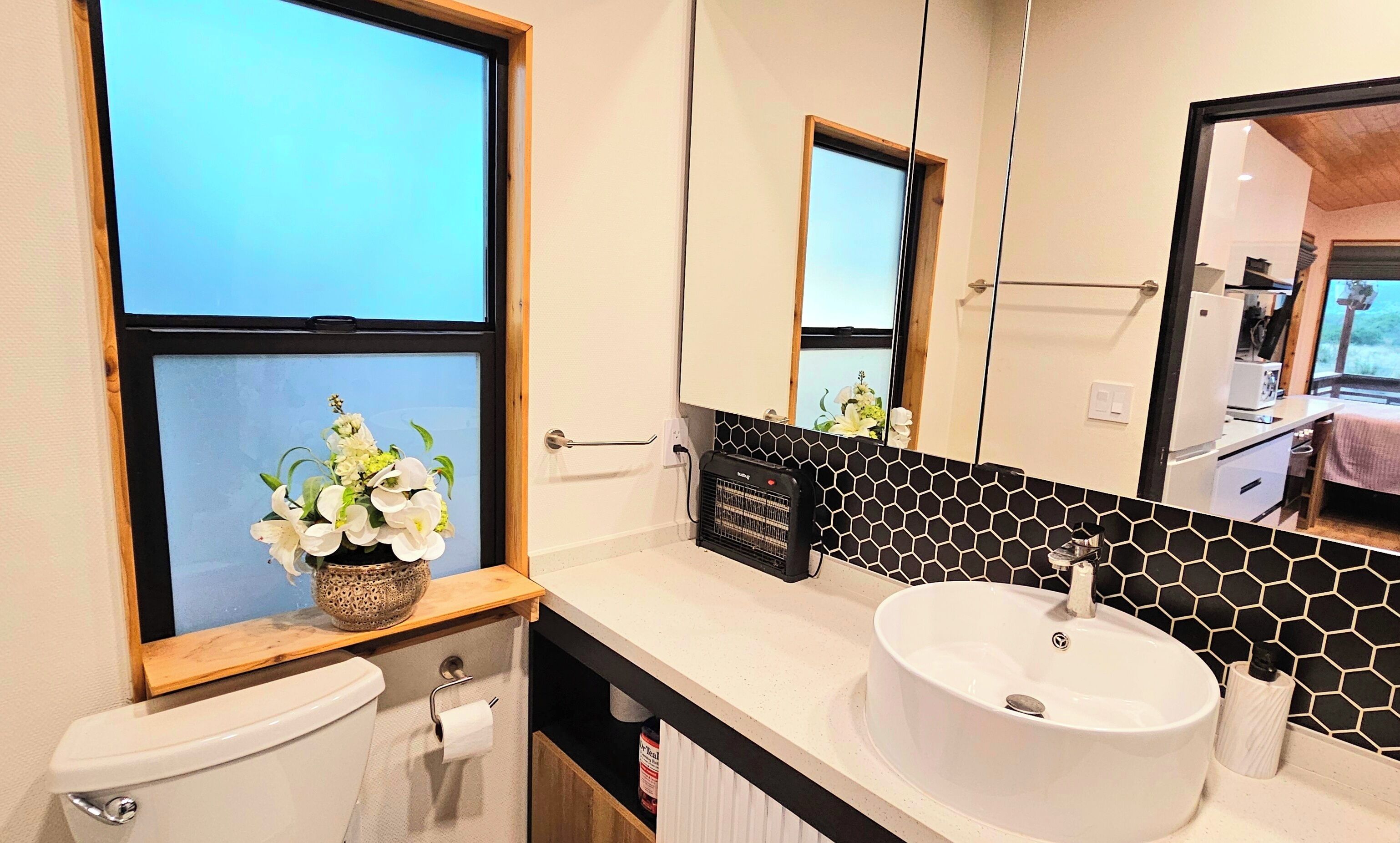 Hair dryer, towels, soap, toilet paper