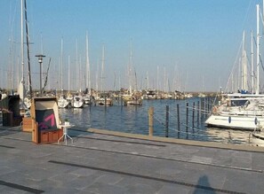 A marina with multiple sailboats docked.