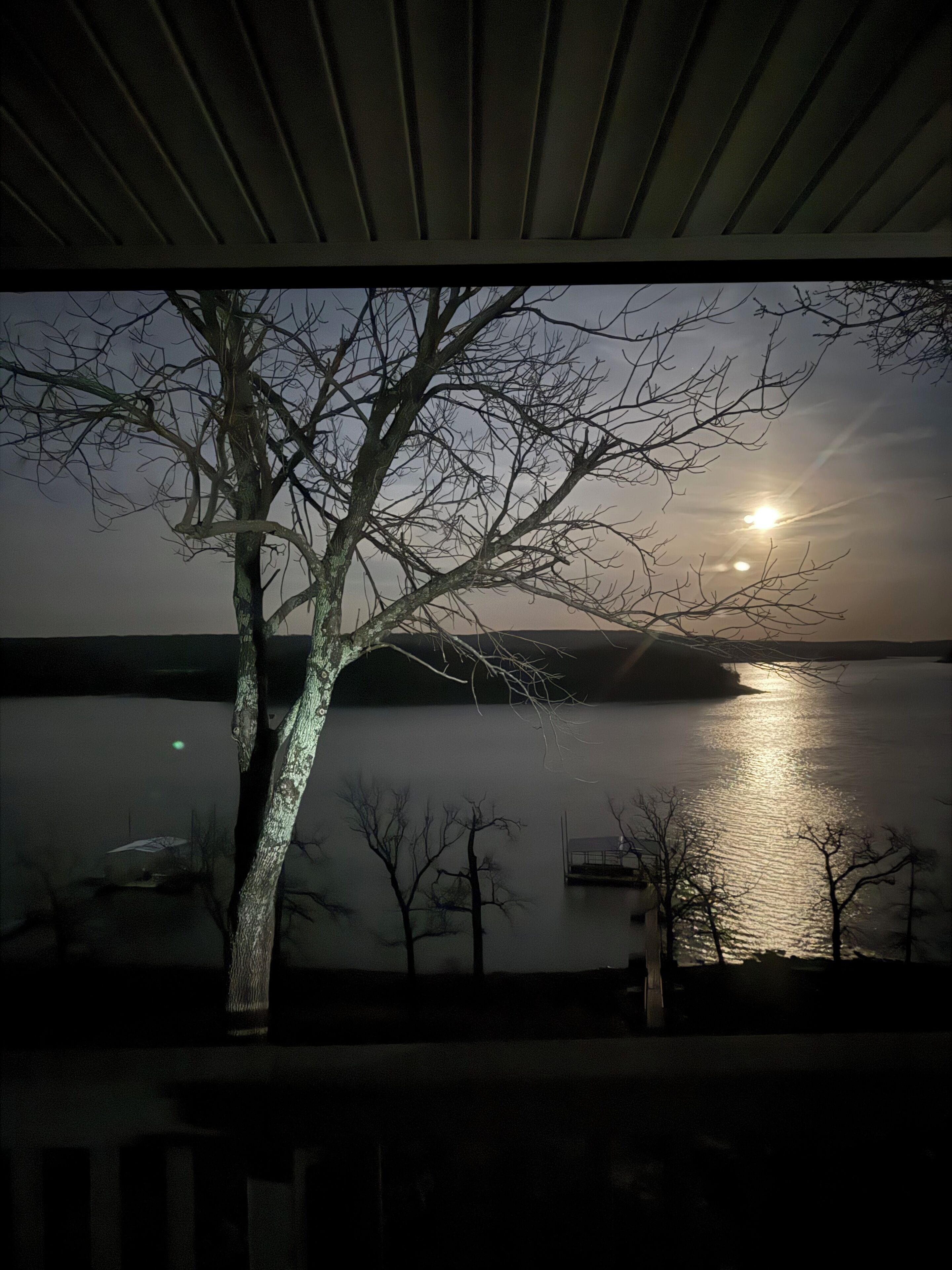 Vista nocturna de un lago con un árbol en primer plano y un bote amarrado en la orilla opuesta.