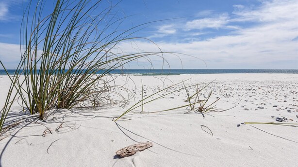 Ein Strand mit Sand, vereinzelter Vegetation und blauem Himmel.