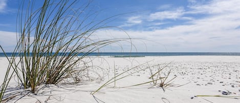Playa