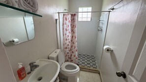 Un baño con inodoro, lavabo, ducha y espejo.