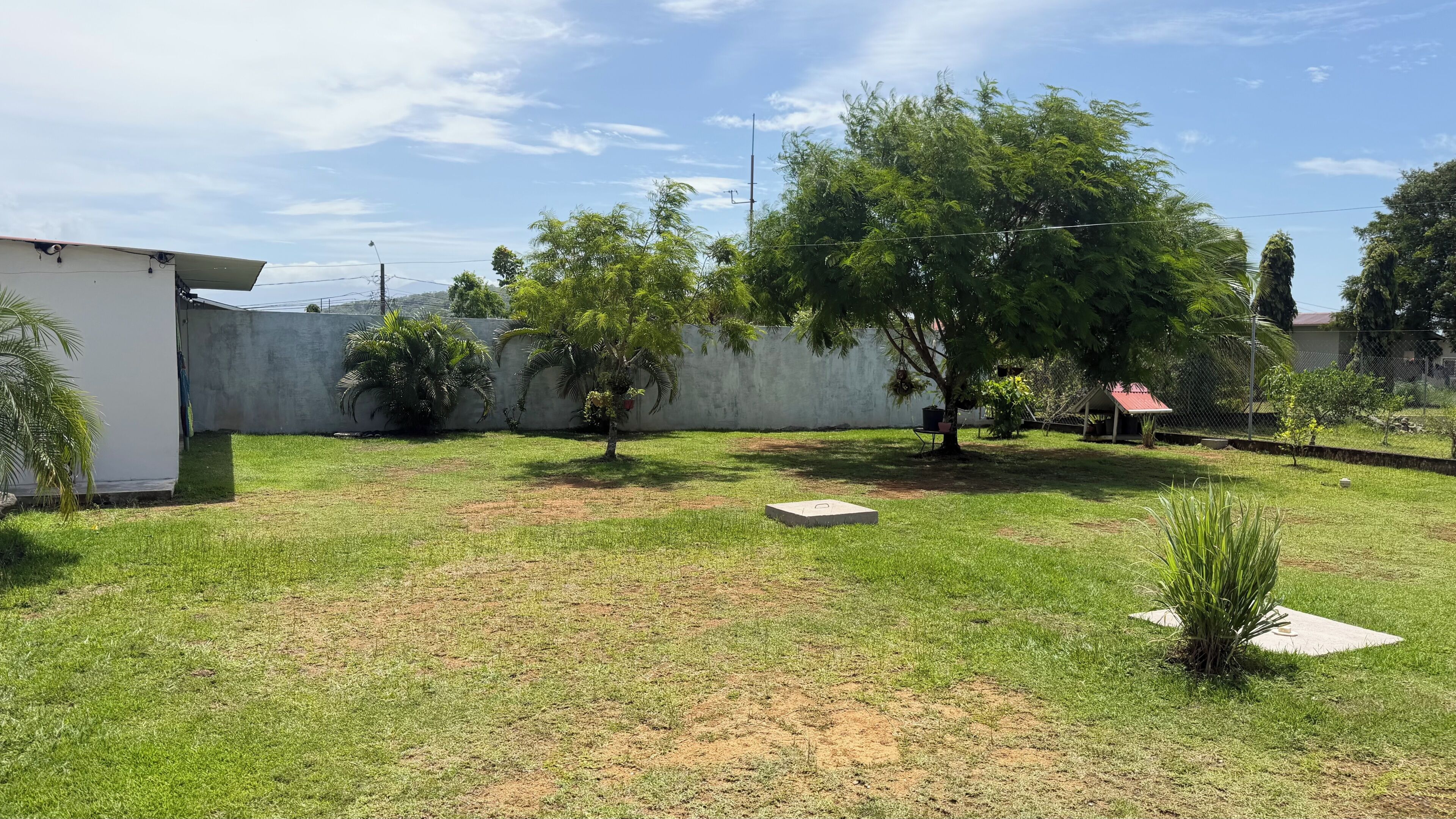 Une cour gazonnée avec une structure en béton, un arbre et une zone délimitée par une clôture.