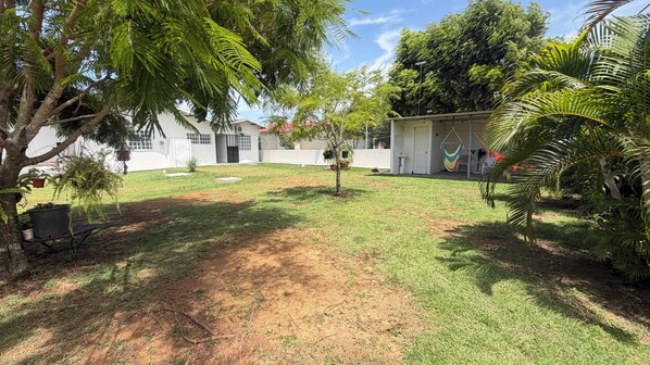 A residential area with a white house, a small tree, and a hammock.