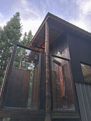 A wooden cabin with a glass door and a metal roof.