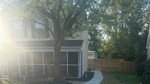 A residential driveway leading to a house with a tree and a wooden fence.