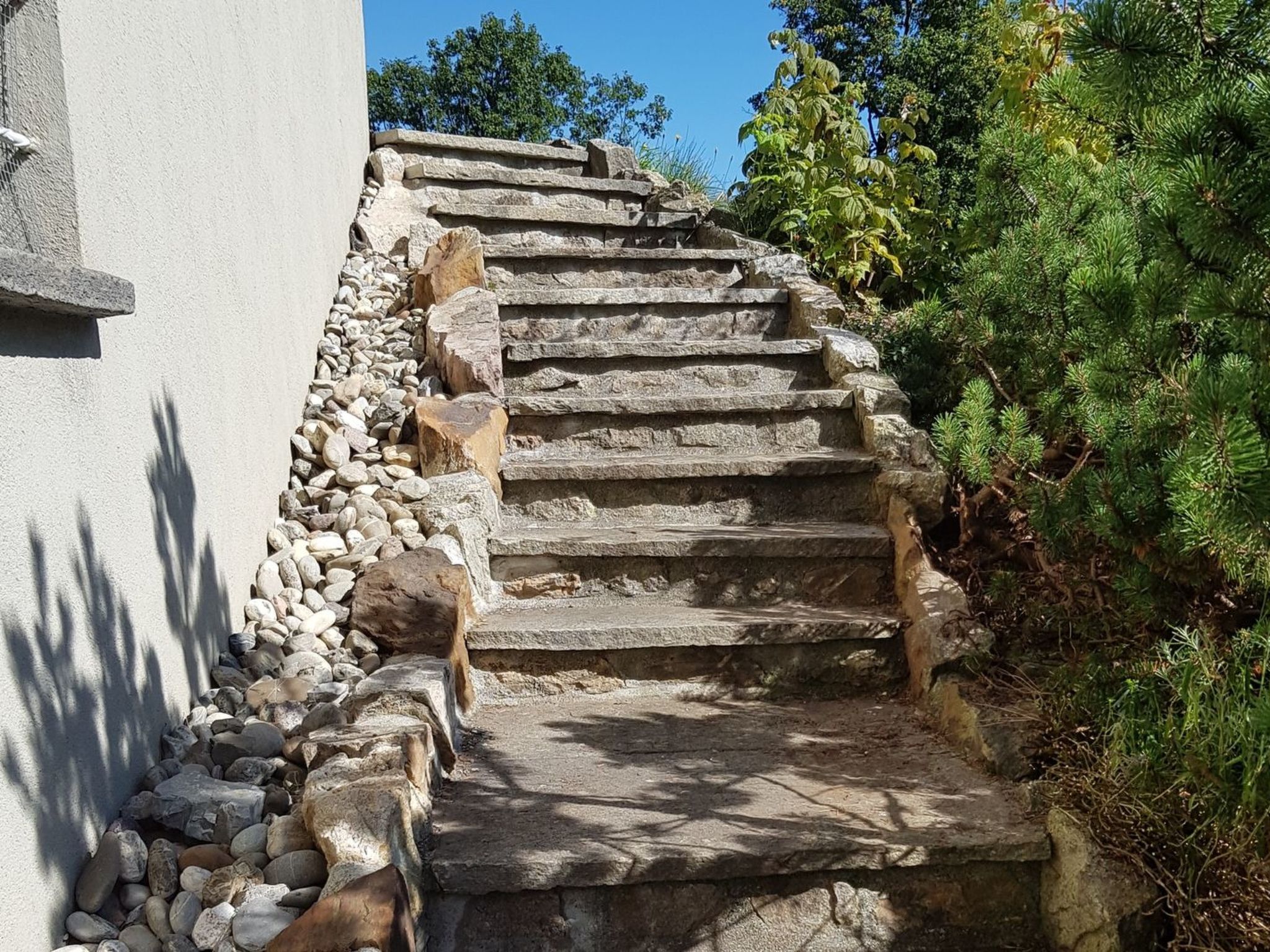 A stone staircase with a stone wall on one side and a tree on the other.