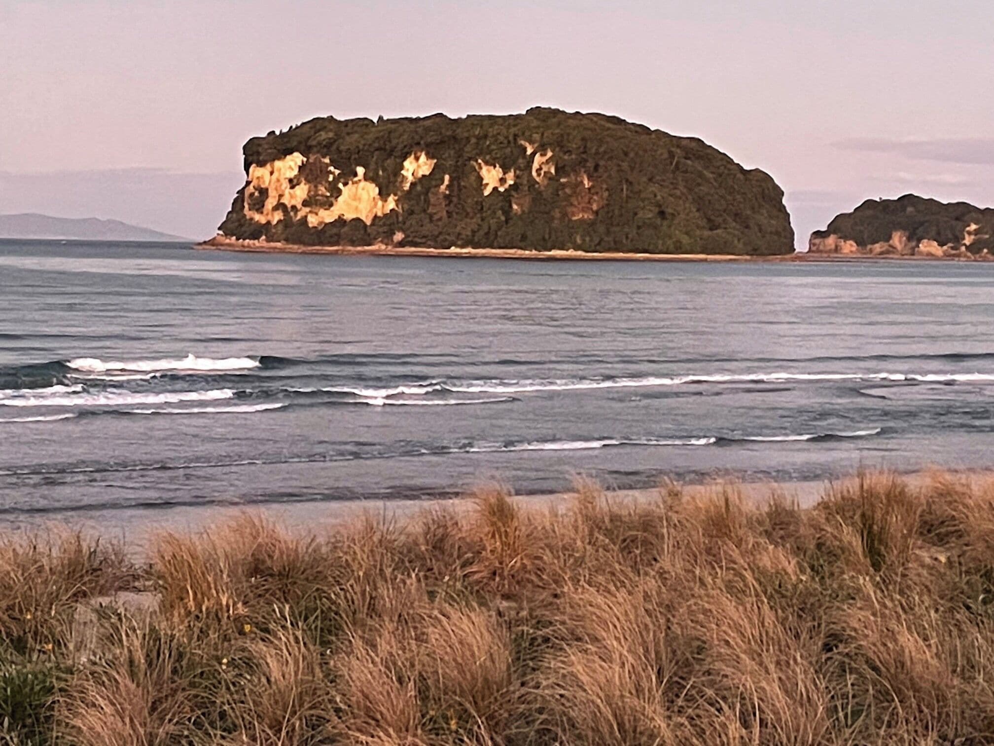 A coastal landscape with a prominent rock formation in the distance, waves approaching the shore, and dry grass in the foreground.