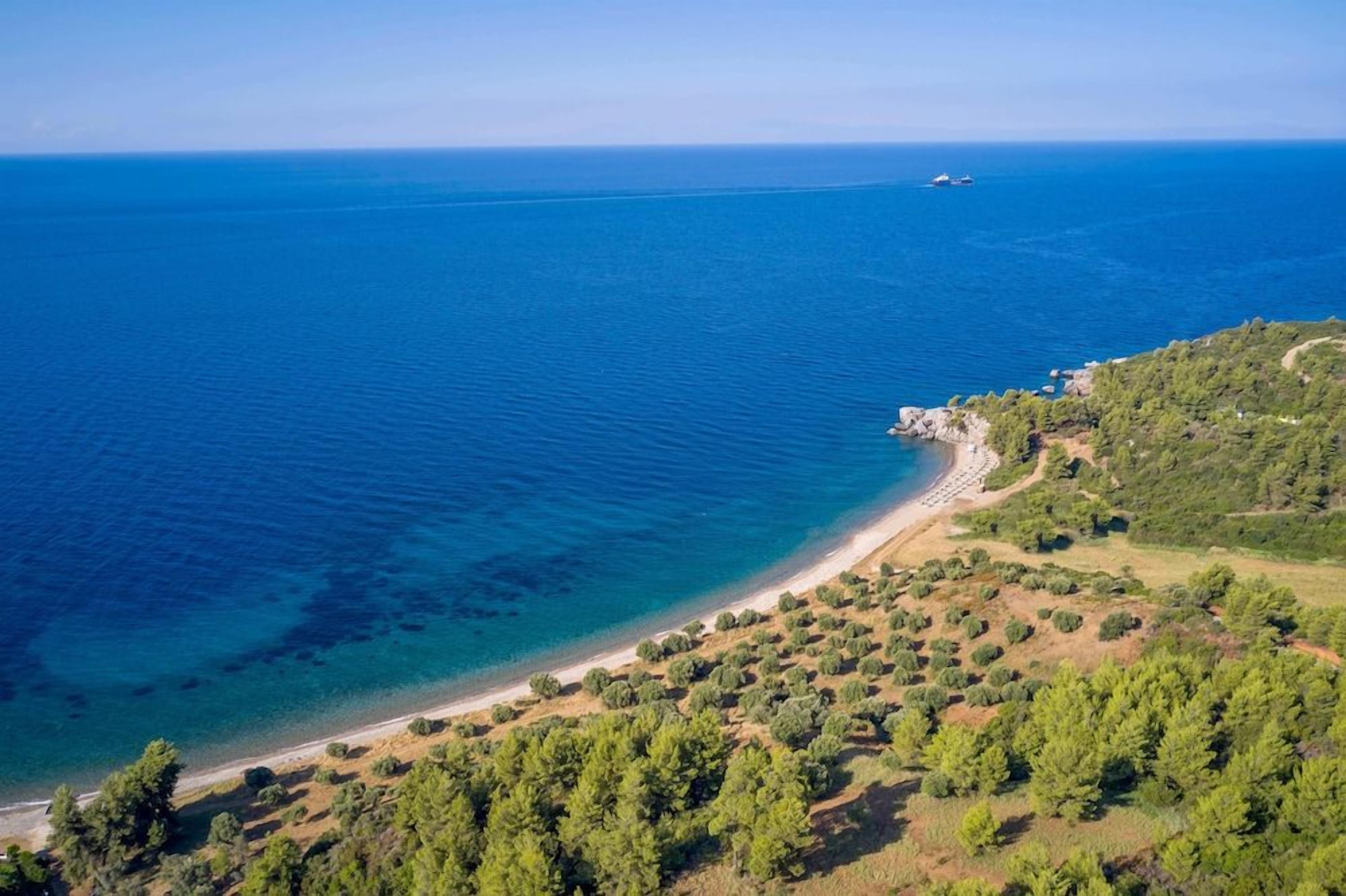 Un paysage côtier avec une plage, une végétation luxuriante et une mer bleue et limpide.