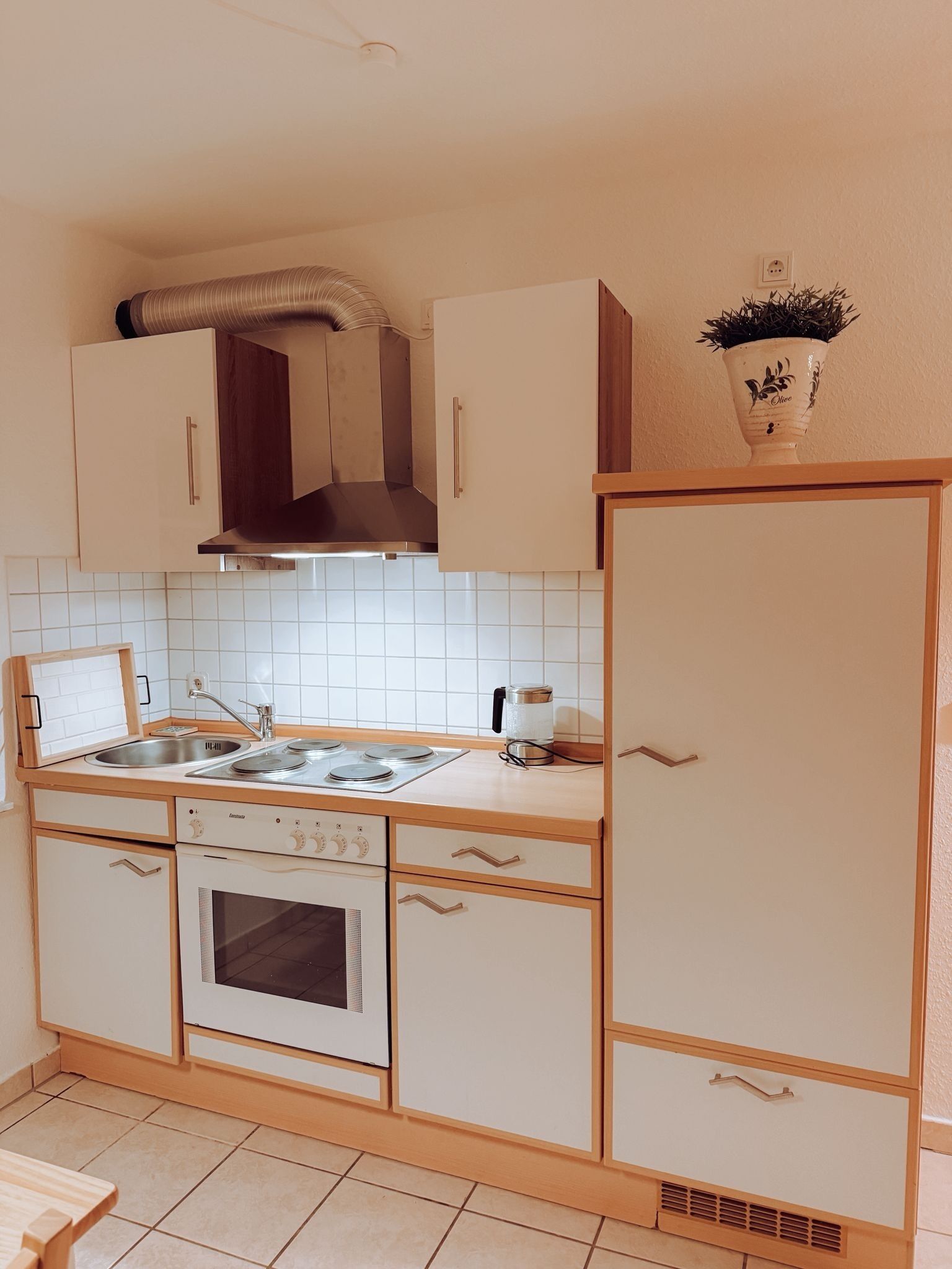 Eine kleine Küche mit Herd, Backofen, Spüle und Schränken.
