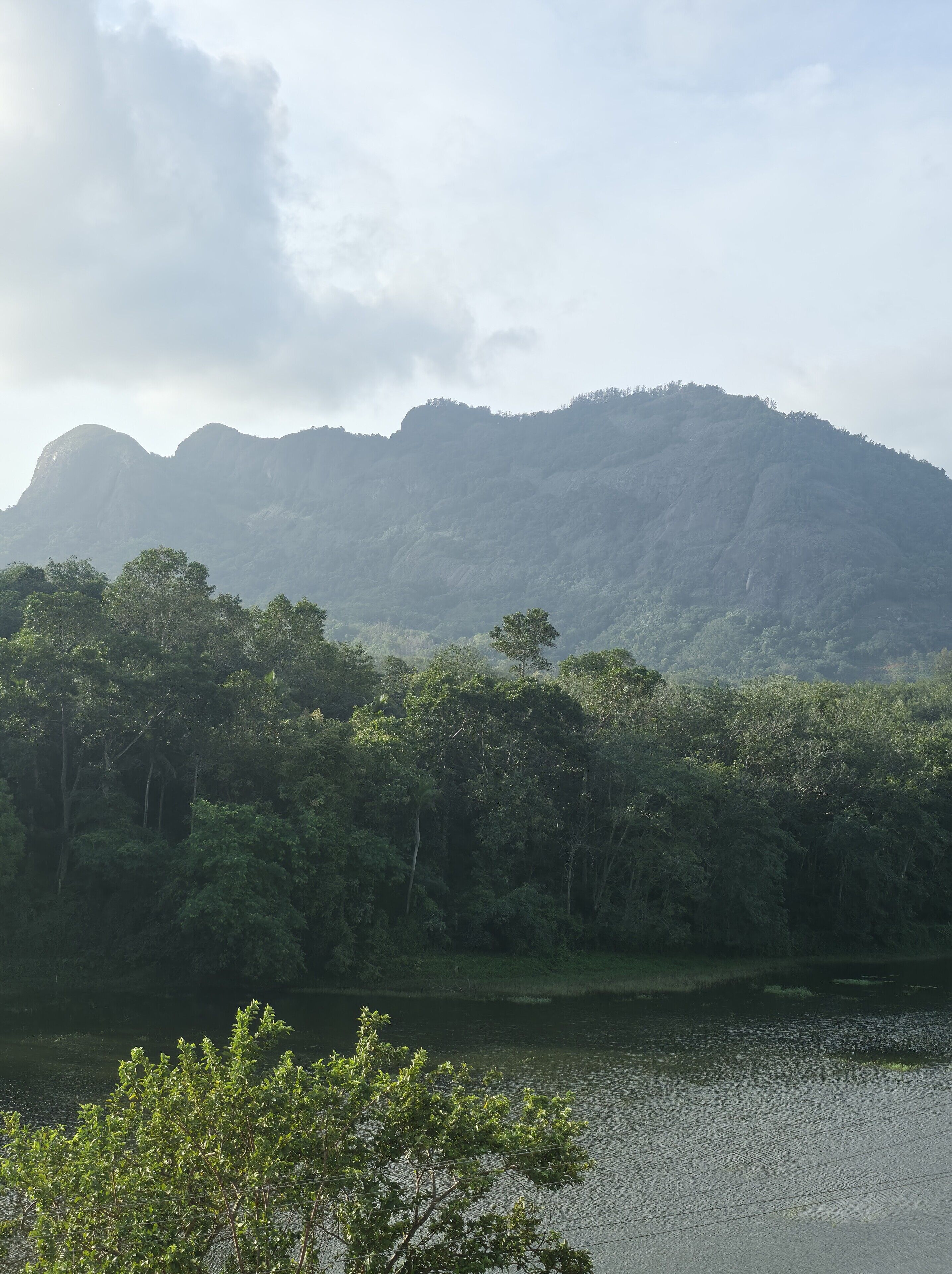 Un paisaje natural con una masa de agua, abundante vegetación y una montaña al fondo.