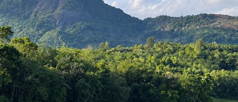 A serene landscape with a body of water, dense greenery, and a hill in the background.