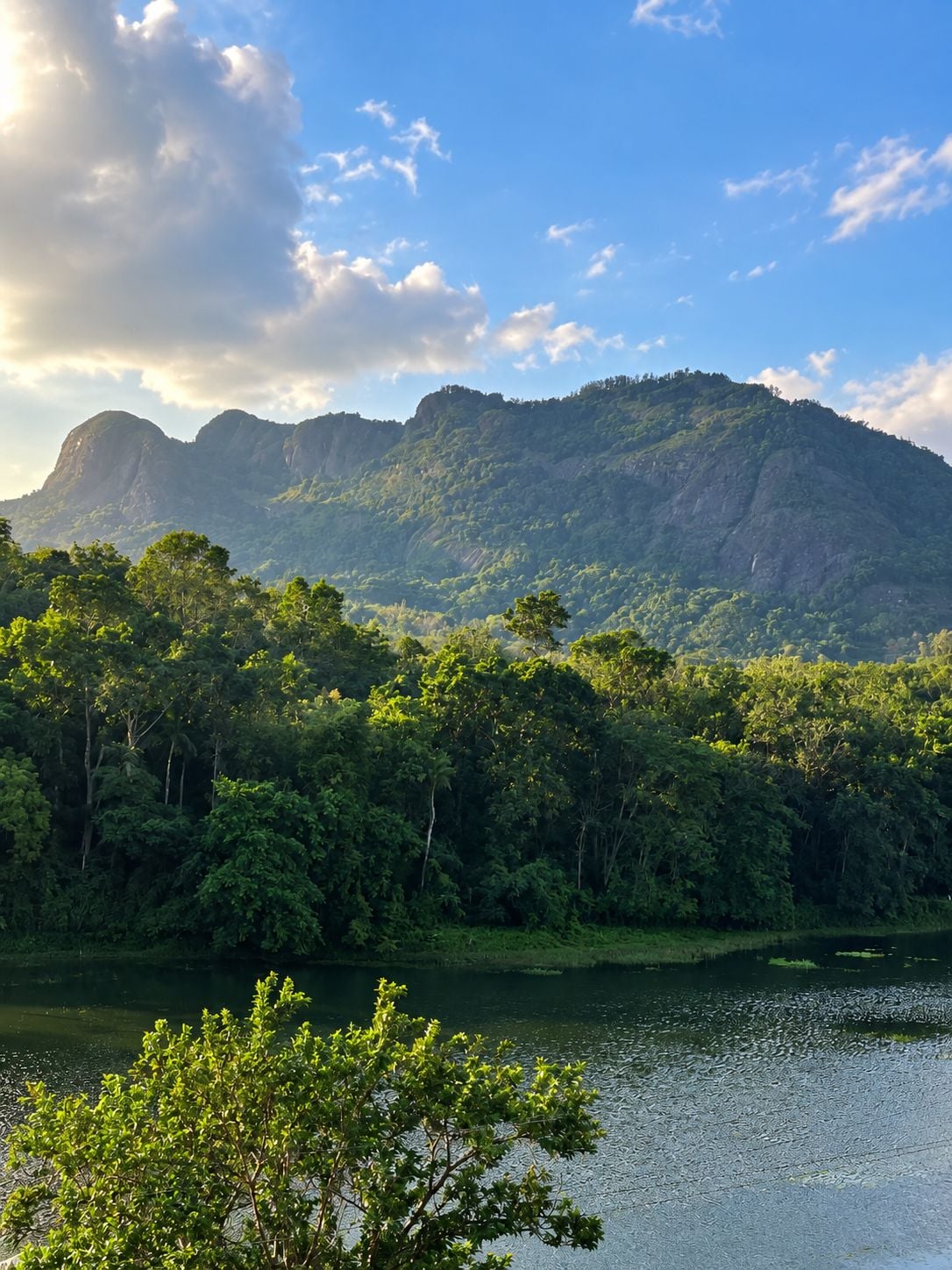 A mountainous landscape with dense forest and a body of water.