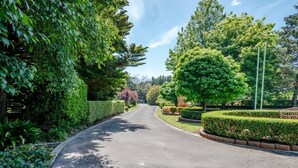A tree-lined street with a curved road, well-maintained hedges, and a clear sky.
