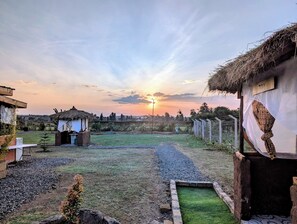 Un paisaje rural con una cabaña de techo de paja, una estructura pequeña con fachada blanca y un camino pavimentado que conduce a una zona cubierta de césped.
