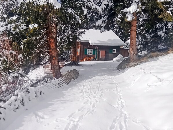 A snow-covered path leading to a cabin with a visible door and windows, surrounded by trees.