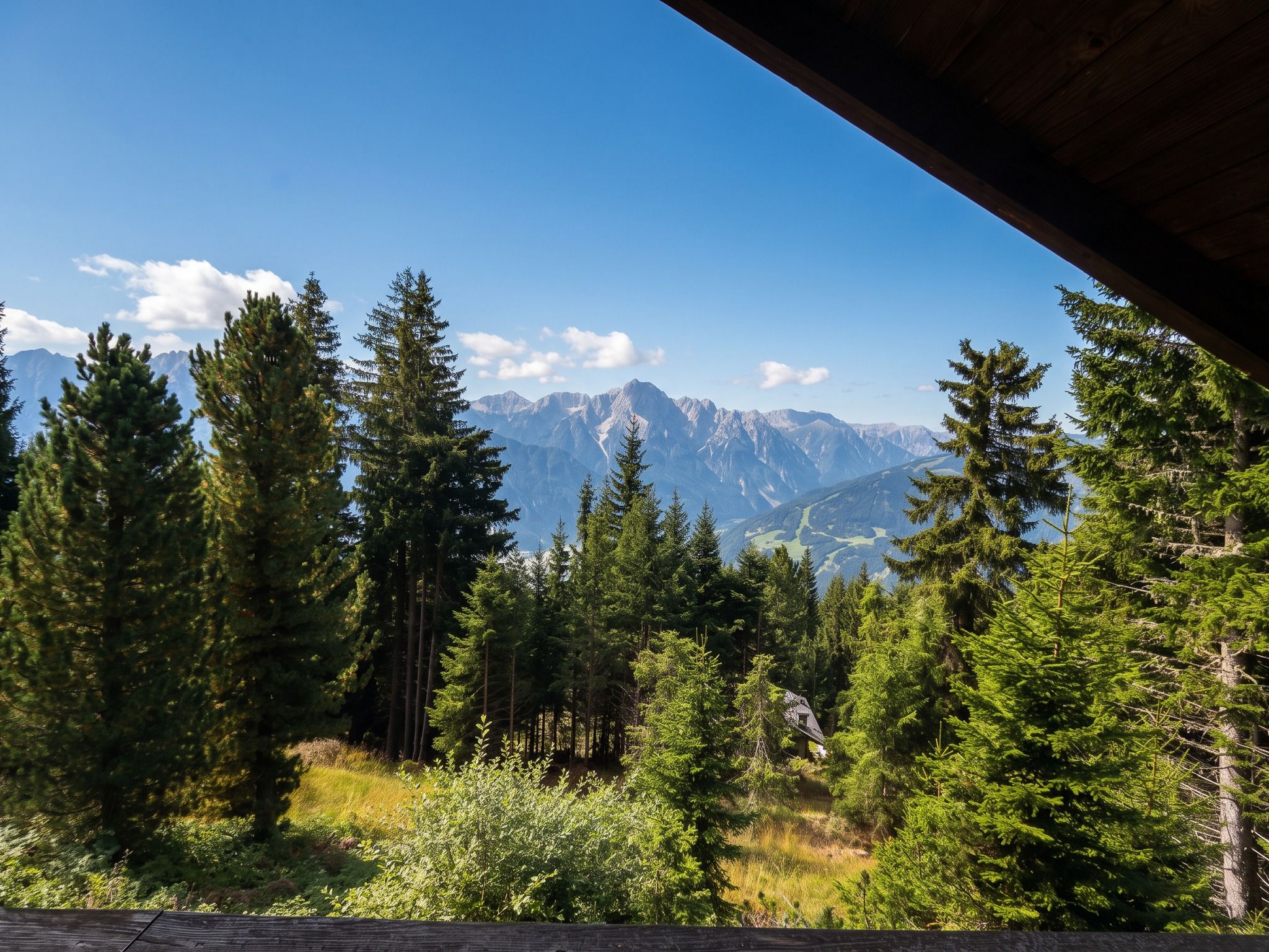 A forested area with a mountain range in the background.