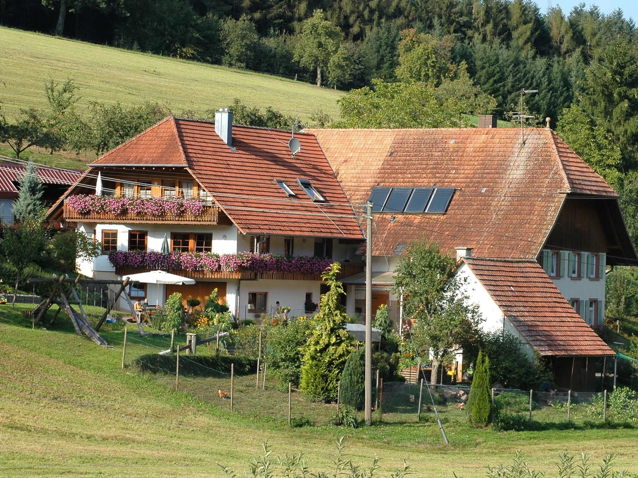 Eine traditionelle Chalet mit geneigtem Dach, zahlreichen Fenstern und einem Balkon mit Blumen.