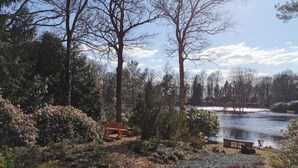 Un jardín junto al lago con un camino de grava, bancos y una variedad de arbustos y árboles.