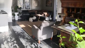 Una sala moderna con un sofá de cuero negro, un sillón estampado y un comedor con una mesa y sillas de madera.