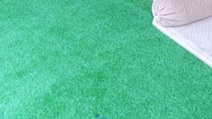 A room with a long wooden bench, green artificial grass, and a red table with small potted plants.