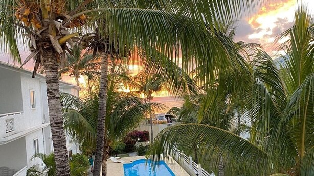 Una piscina circondata da palme, con un edificio sullo sfondo.