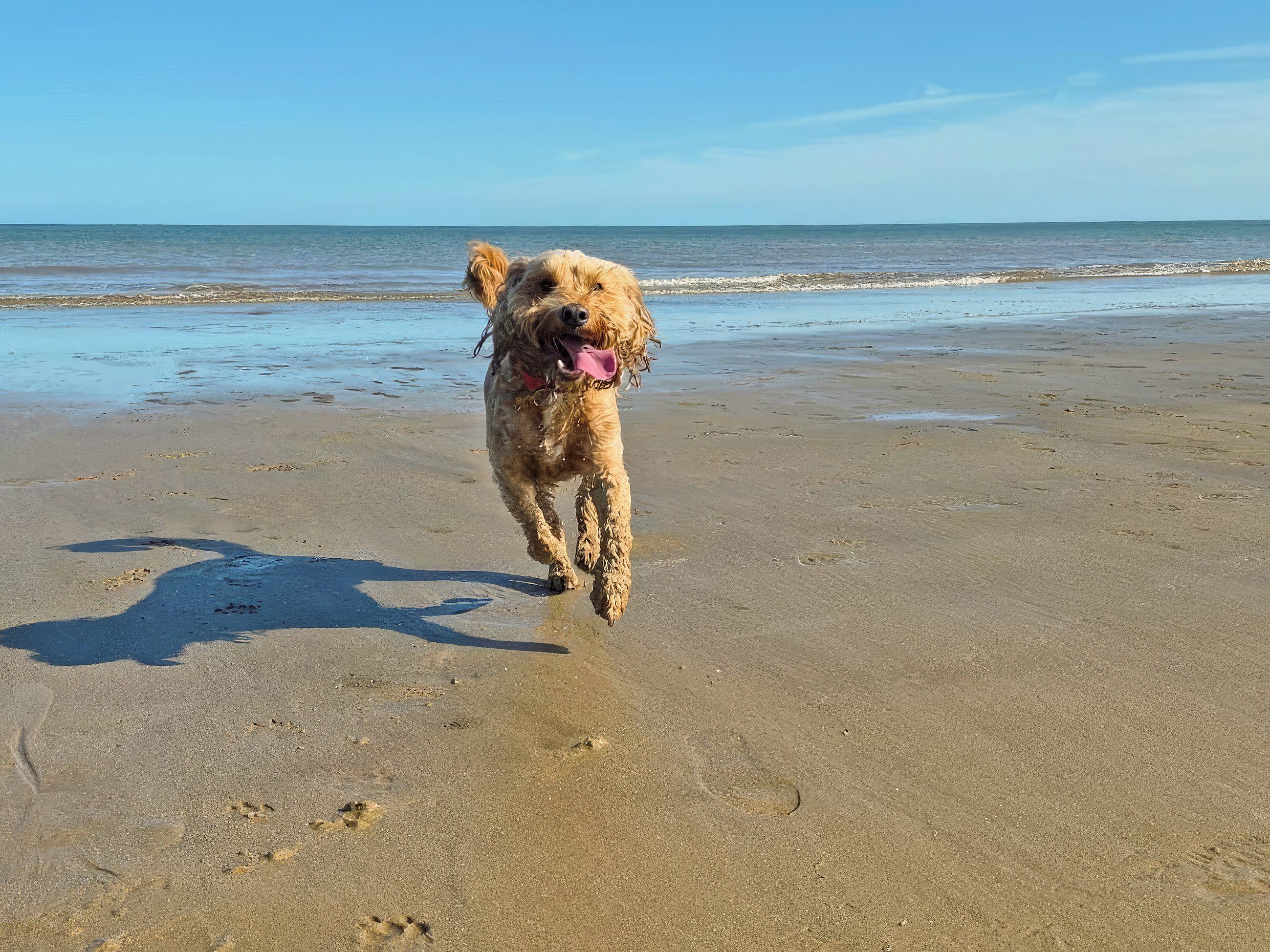 Strand